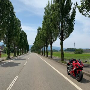 上越妙高駅にほど近いメタセコイア並木とCBR650R