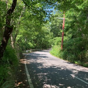 山梨県甲府市みはらし広場からの林間コースの風景
