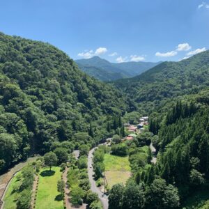 四万川ダム下流の深緑あふれる風景