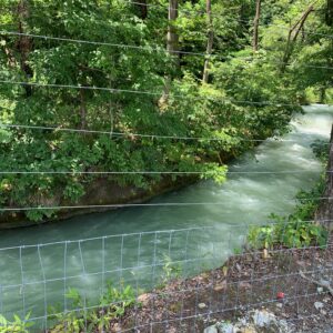 豊富な水流の高瀬川支流の風景