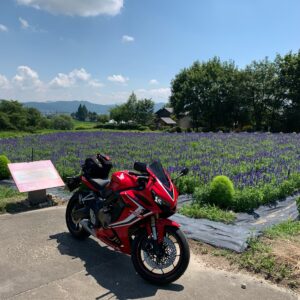 安曇野の山麓線沿いのラズベリー畑with CBR650R②