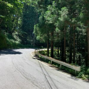 山中のr55のロード風景