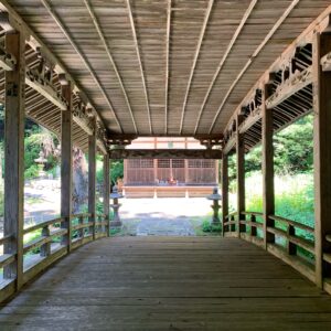 微妙橋を渡って振り返る