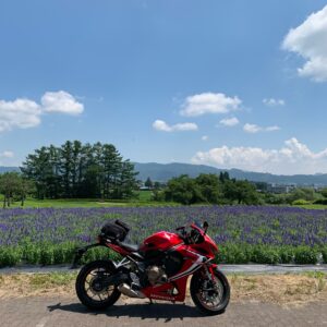 安曇野の山麓線沿いのラズベリー畑with CBR650R