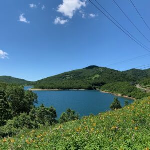 ニッコウキスゲと野反湖の美しい風景