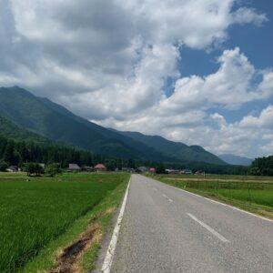 のどかな夏の里山風景が広がるr325のロード風景にて