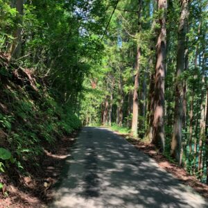 青木湖沿いの鬱蒼とした1車線ロードにて