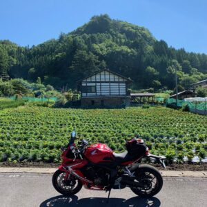 R292にほど近い赤岩水車近くのお花畑にてwith CBR650R