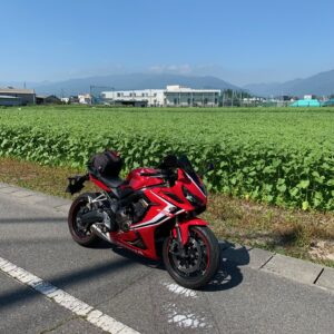 松本大学横の開花前の新村ひまわり畑with CBR650R