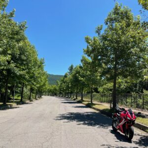 星野リゾート アルツ磐梯のメタセコイア並木？にてwith CBR650R