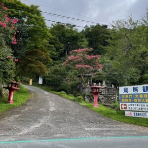 救世大観音へ続く1.4キロのスタート地点にて②