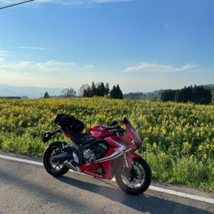 蔵王温泉手前で出会ったひまわり畑with CBR650R