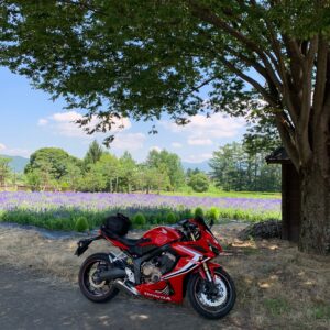 安曇野の山麓線沿いのラズベリー畑with CBR650R③