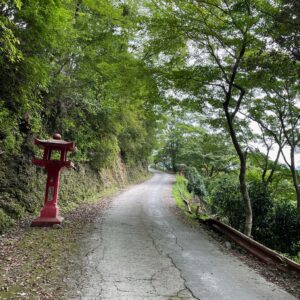 救世大観音へ続く急坂のロード風景