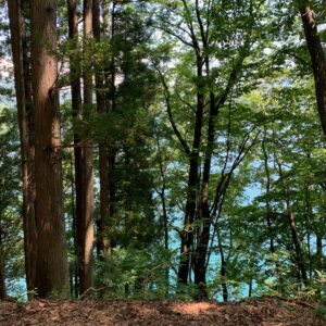 青木湖沿いの鬱蒼とした1車線ロードにて②