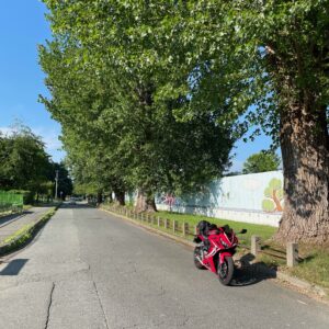 山形城址内の見事な並木にてwith CBR650R