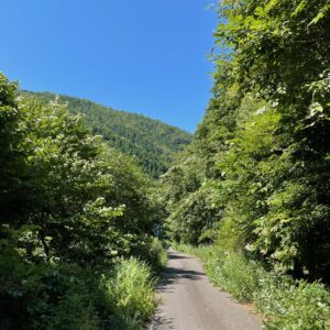 御霊櫃峠から猪苗代湖へ向かう下りの狭路風景