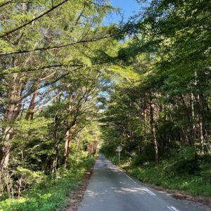 猪苗代湖の東に位置する御霊櫃峠へ向かう1.5車線の風景