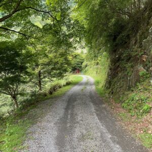 救世大観音ロードのダートシーンにて