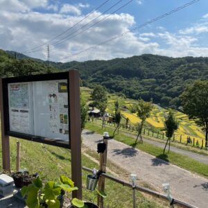 上田市・稲倉の棚田の駐車場にて
