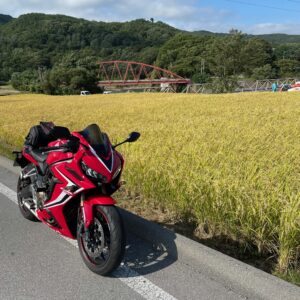小諸のr40で出会った黄金色の田んぼwith CBR650R