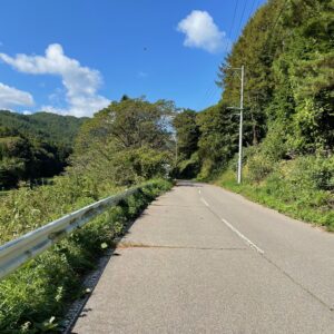 R153からR19へのショートカットr254の2車線ロード風景