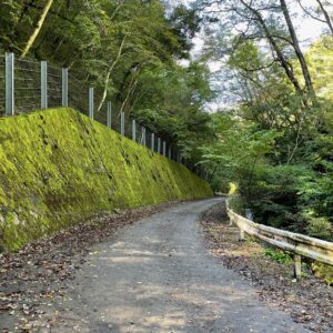 R153からR19へのショートカットr254の1車線ロード風景