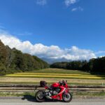 八ヶ岳エコーラインの秋らしい風景with CBR650R②