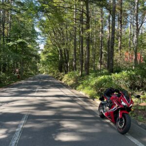 菅平高原を抜けるr182の林間コース風景with CBR650R