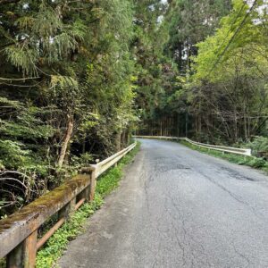 長野市と上田市をつなぐ長野菅平/r34のロード風景