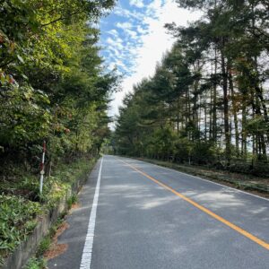 爽快林間コースの八ヶ岳高原ライン