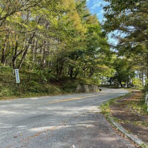 爽快林間コースの八ヶ岳高原ライン②
