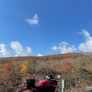 視界の開けた霧降高原道路で見つけた紅一点と CBR650R