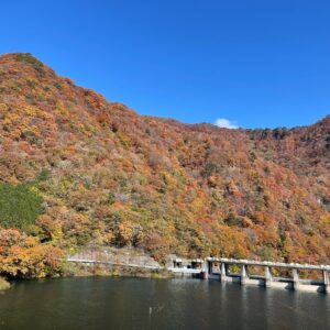 日光の北を走るr23の紅色風景
