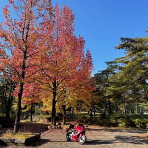 3色シグナルな秋の風景とCBR650R