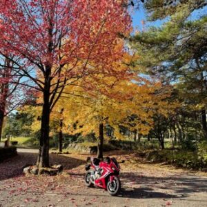 3色シグナルな秋の風景とCBR650R②