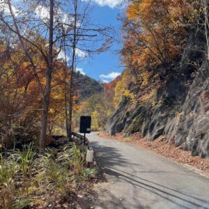 隠れ紅葉ロード「山王林道」を走る