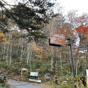 秋の山王林道北の入口にて