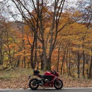 秋色風景となったR120のロード風景with CBR650R