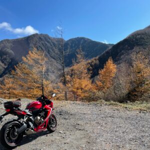 隠れ紅葉ロード「山王林道」を走る⑤