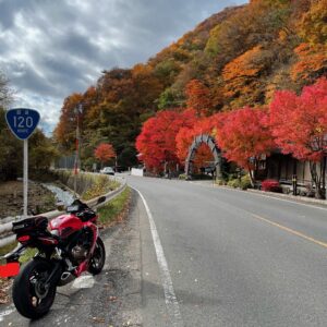 R120沿いの鮮やかな紅色が並ぶ白根温泉with CBR650R