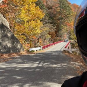 日光の北を走るr23の紅色風景④