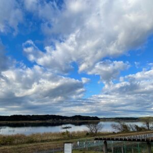 双子公園の丘からの印旛沼の眺め