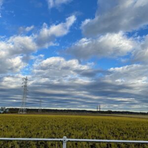 佐倉市の田園風景にて②