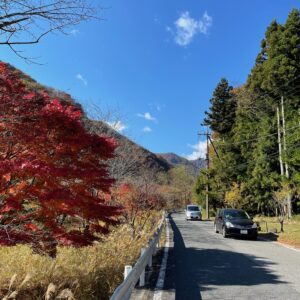 日光の北を走るr23の紅色風景②