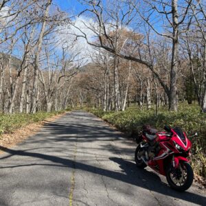 隠れ紅葉ロード「山王林道」の落葉風景with CBR650R