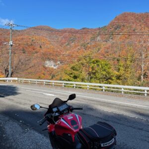 紅色に染まった日光の北を走るr23のロード風景