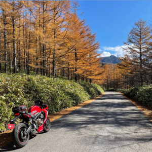 カラマツと緑がロードを彩る山王林道の風景with CBR650R