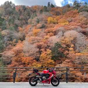 日光の北を走るr23の紅色風景⑤