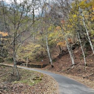 隠れ紅葉ロード「山王林道」を走る②
